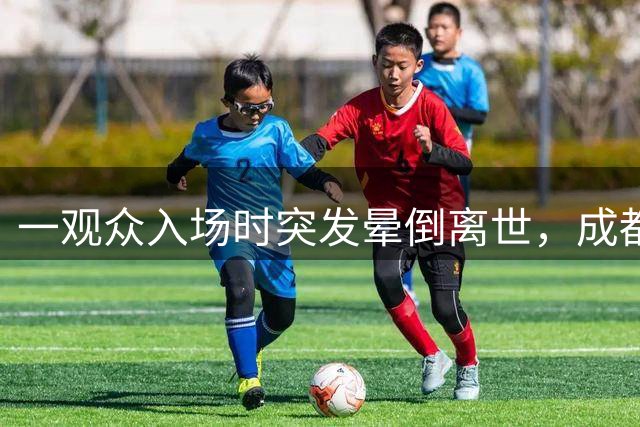 一观众入场时突发晕倒离世，成都蓉城足球俱乐部：深表痛心与惋惜，将全力协助家属做好后续善后工作